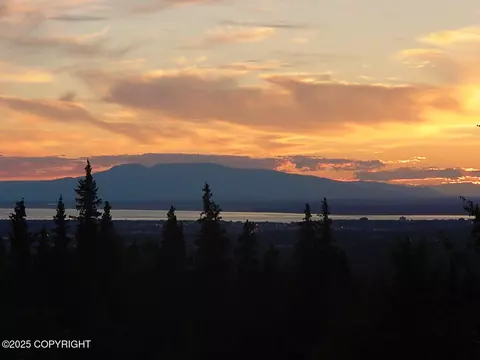 9300 Buddy Werner Dr, Anchorage, AK 99507 photo 17