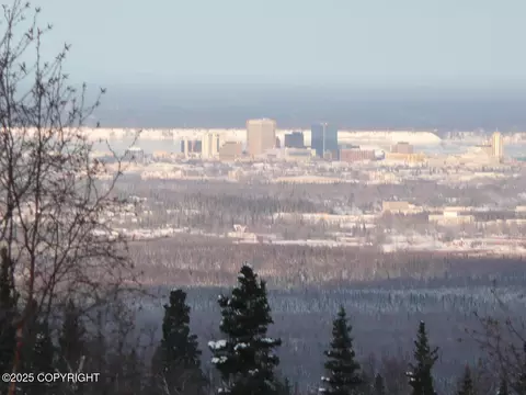 9300 Buddy Werner Dr, Anchorage, AK 99507 photo 12