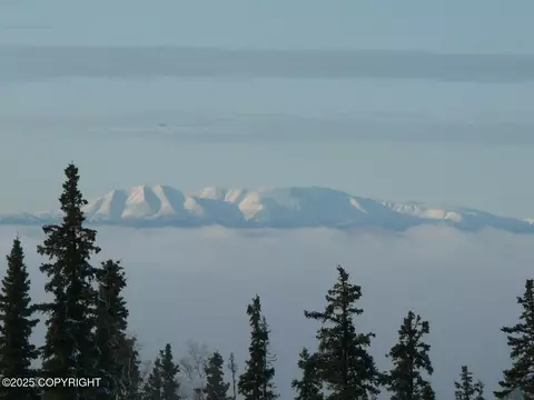 9300 Buddy Werner Dr, Anchorage, AK 99507 photo 23