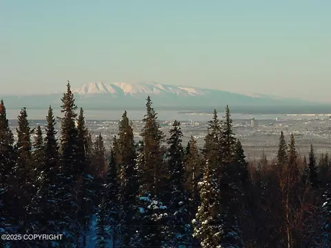 9300 Buddy Werner Dr, Anchorage, AK 99507 photo 20