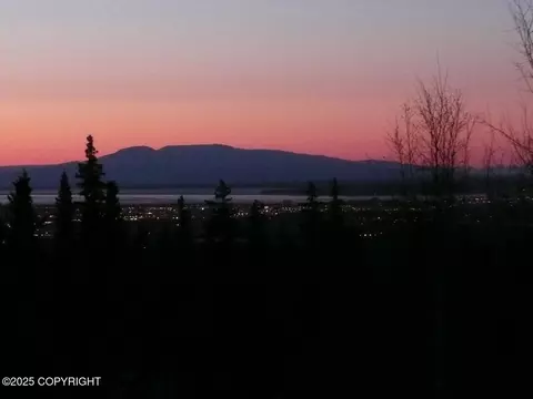 9300 Buddy Werner Dr, Anchorage, AK 99507 photo 19