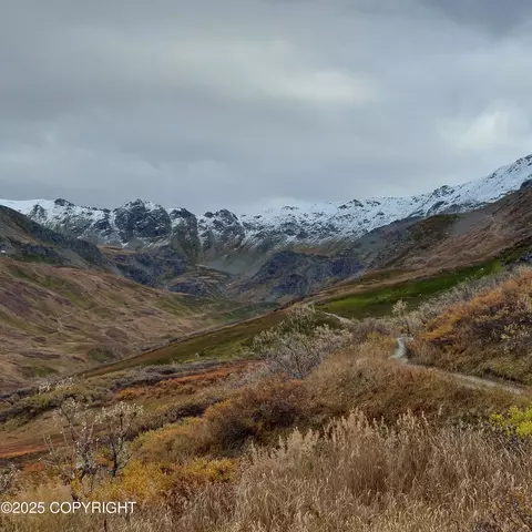 Mile 18 Willow-fishhook Road, Willow, AK 99688
