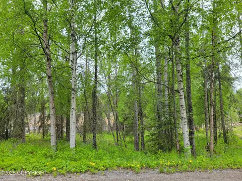 47847 Baranoff Dr, Nikiskinorth Kenai, AK 99635