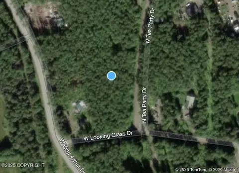 3146 Tea Party Dr, Houston, AK 99623
