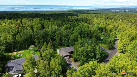View/Area - 12944 Ridgeview Dr, Anchorage, AK 99516 photo 5 of 10