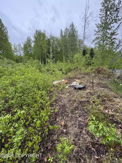 20071 E Record Ave, Willow, AK 99688 photo 9