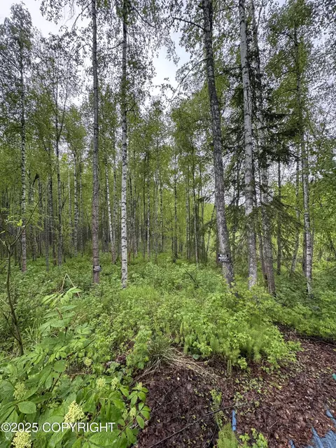 20071 E Record Ave, Willow, AK 99688 photo 3