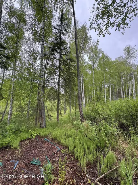 20071 E Record Ave, Willow, AK 99688 photo 4