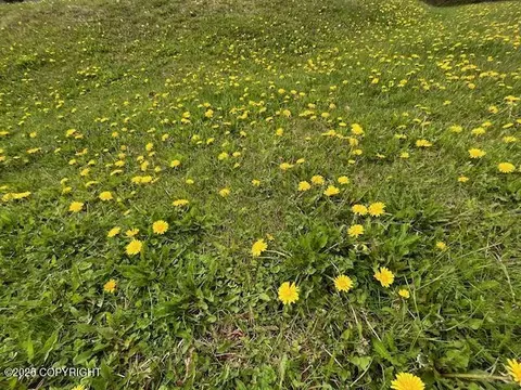 24044 Dolly Ave # E3, Chugiak, AK 99567