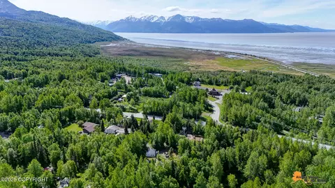 View/Area - 3151 E 151st Ave, Anchorage, AK 99516 photo 9 of 13