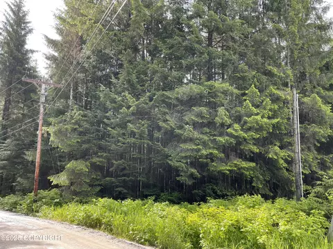 L5b4 Hucklebery Drive, Naukati Bay, AK 99000