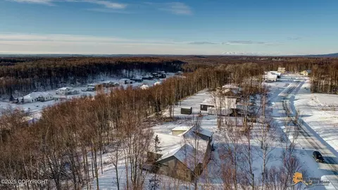 8373 E Windy Woods Loop, Palmer, AK 99645 photo 49
