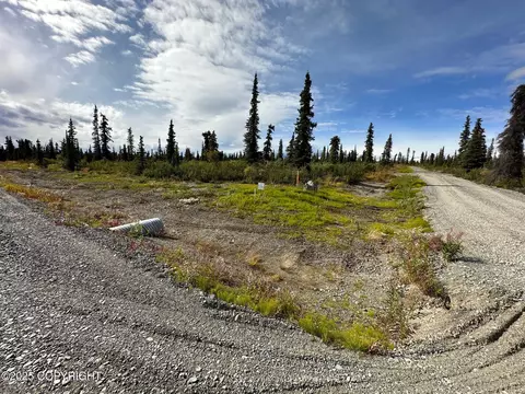 49486 S Timberwolf Rd, Chickaloon, AK 99674
