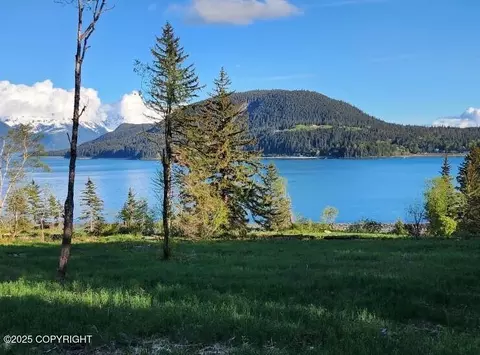 lot5 Barnett St, Haines, AK 99827