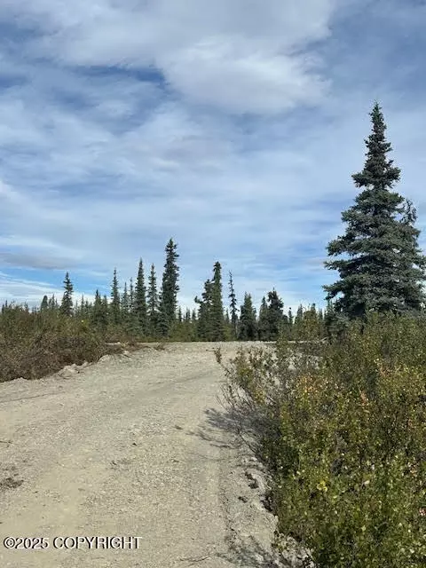 49296 S Timberwolf Rd, Chickaloon, AK 99674