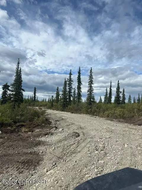 49668 S Timberwolf Rd, Chickaloon, AK 99674