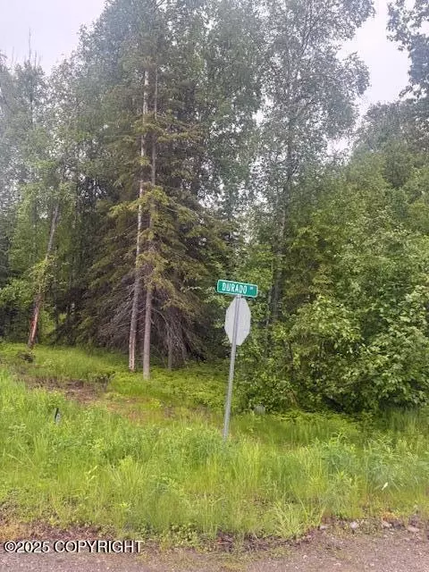 L11 B2 Gaunt Drive, Houston, AK 99694