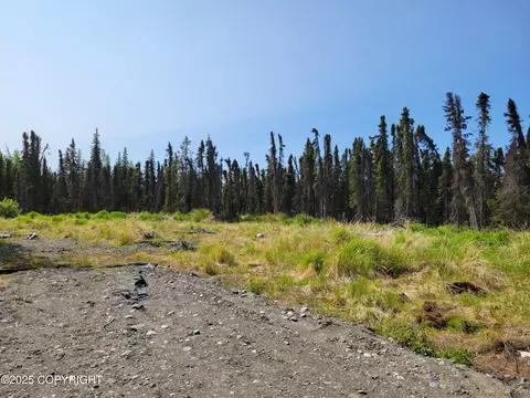 48927 Rustic Ave, Soldotna, AK 99669