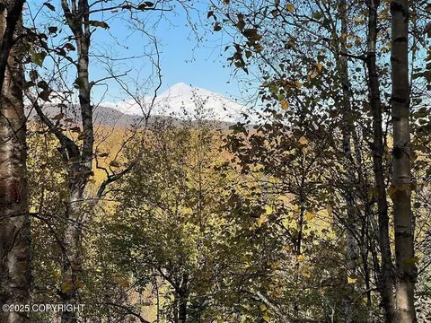 21283 E Quarah Lake Ave, Talkeetna, AK 99676