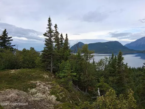 L3 Russian Creek, Iliamna, AK 99606