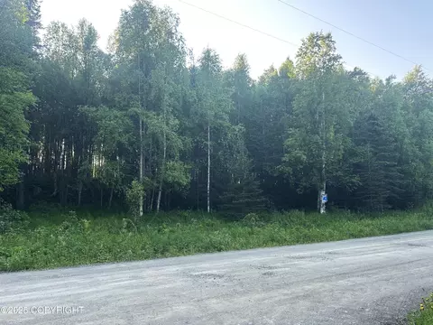L 7 Wapiti, Nikiskinorth Kenai, AK 99635