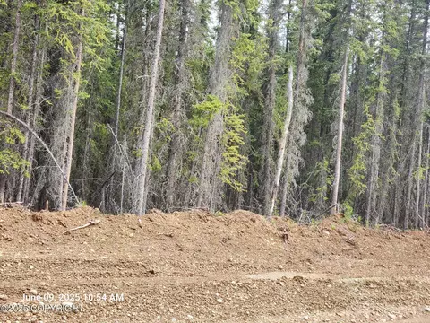 lot5 Boreal Frst, Tok, AK 99780