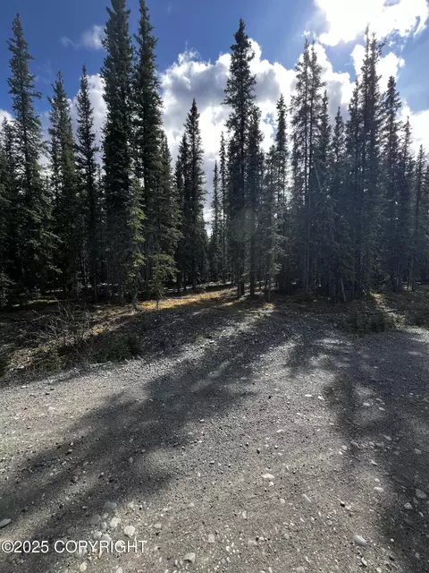 1 Alaska Hwy # H, Tok, AK 99780