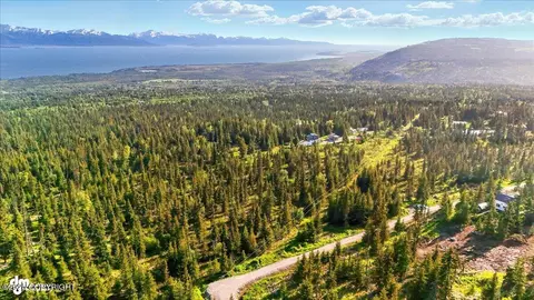 54533 Winchester Ave, Homer, AK 99603