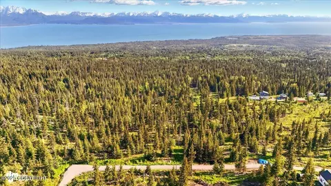 54533 Winchester Ave, Homer, AK 99603