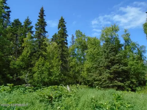 L4 Stone Ridge Road, Anchorage, AK 99516