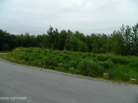 2388 E Oban Cir, Palmer, AK 99645
