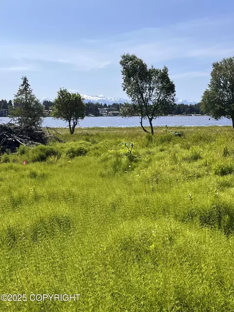 L45 Dahl Way, Homer, AK 99603