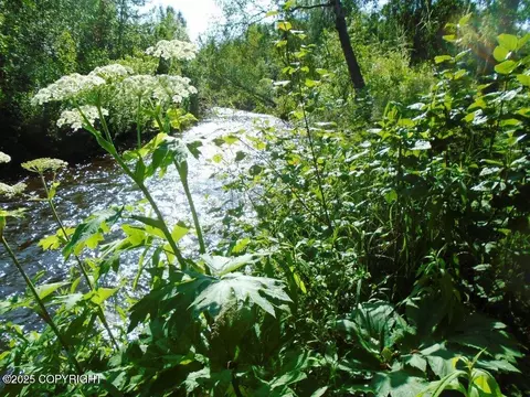 Tr G W Parks Highway, Talkeetna, AK 99676