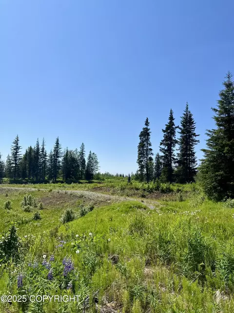 34708 N Fork Rd, Anchor Point, AK 99556