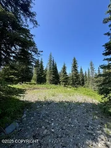 34718 N Fork Rd, Anchor Point, AK 99556