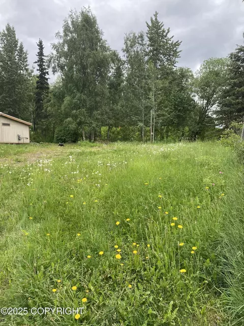 2100 Ivan Dr, Anchorage, AK 99507 photo 7