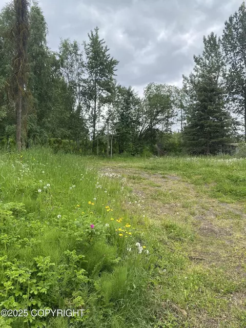 2100 Ivan Dr, Anchorage, AK 99507 photo 2