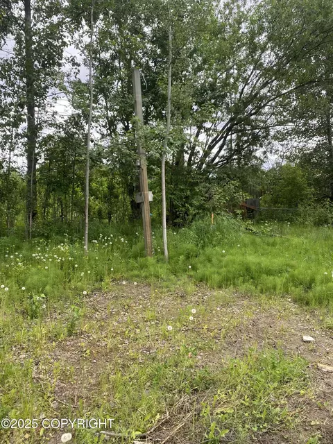 2100 Ivan Dr, Anchorage, AK 99507 photo 3