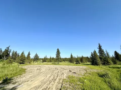 32800 Shorebird Ln, Anchor Point, AK 99556