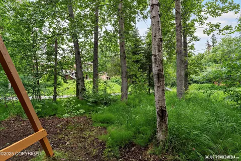 Exterior - 19111 Sarichef Loop, Eagle River, AK 99577 photo 6 of 8