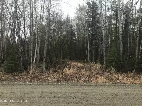 7963 S Lucindas Pl, Wasilla, AK 99623