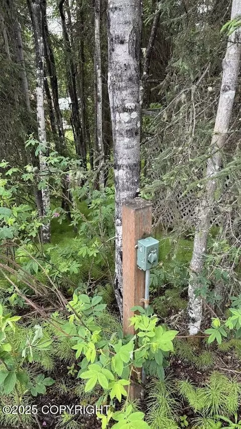 L33 Upper Loop, Sterling, AK 99672 photo 4