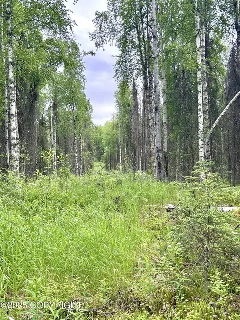 16082 E Greenleaf Dr, Talkeetna, AK 99676