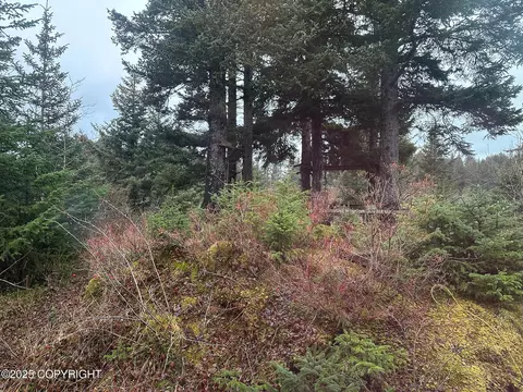 Exterior - 321 Eagle Run Loop, Seldovia, AK 99663 photo 4 of 13