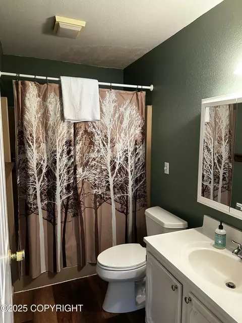 Bath - 321 Eagle Run Loop, Seldovia, AK 99663 photo 4 of 7
