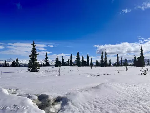 50900 S Summit Loop, Remote, AK 99000 photo 11