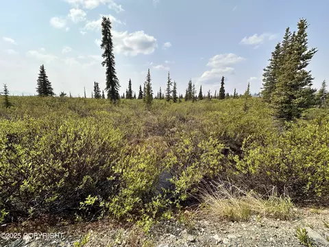 50900 S Summit Loop, Remote, AK 99000 photo 18
