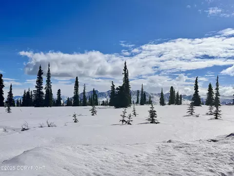 50900 S Summit Loop, Remote, AK 99000 photo 12