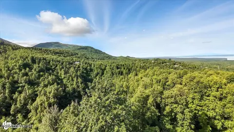 View/Area - 19360 Chugach Park Dr, Chugiak, AK 99567 photo 10 of 12