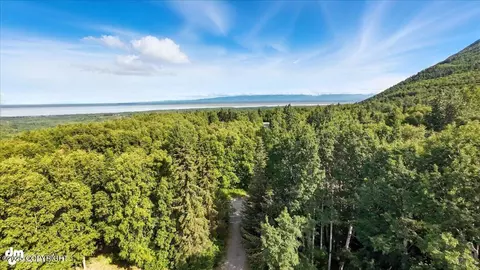 View/Area - 19360 Chugach Park Dr, Chugiak, AK 99567 photo 9 of 12